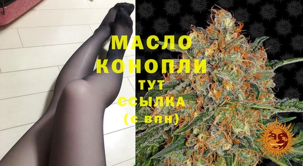 индика Зерноград