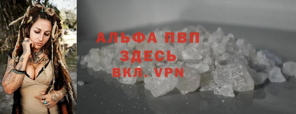 индика Зерноград