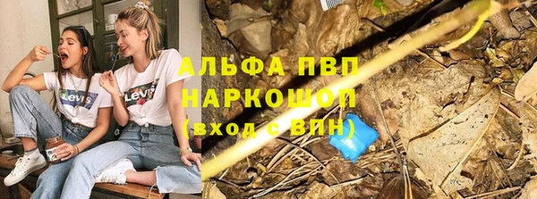 индика Зерноград