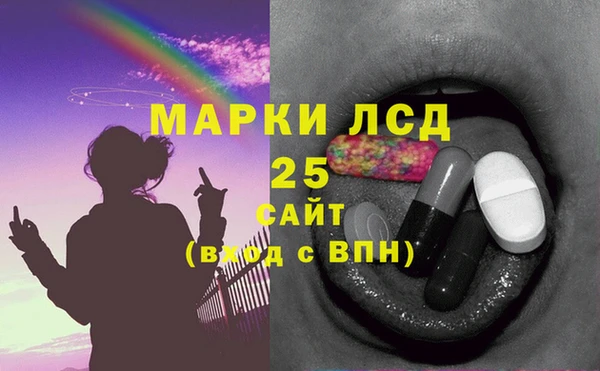 индика Зерноград