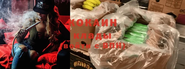 индика Зерноград