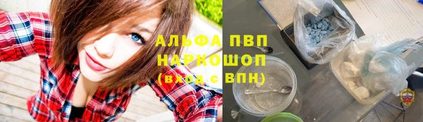 индика Зерноград