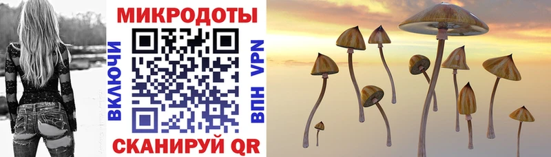 Псилоцибиновые грибы Magic Shrooms  Купить  Истра 